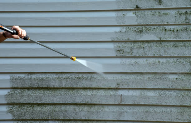 Best Exterior Home Cleaning  in Longview Heights, WA